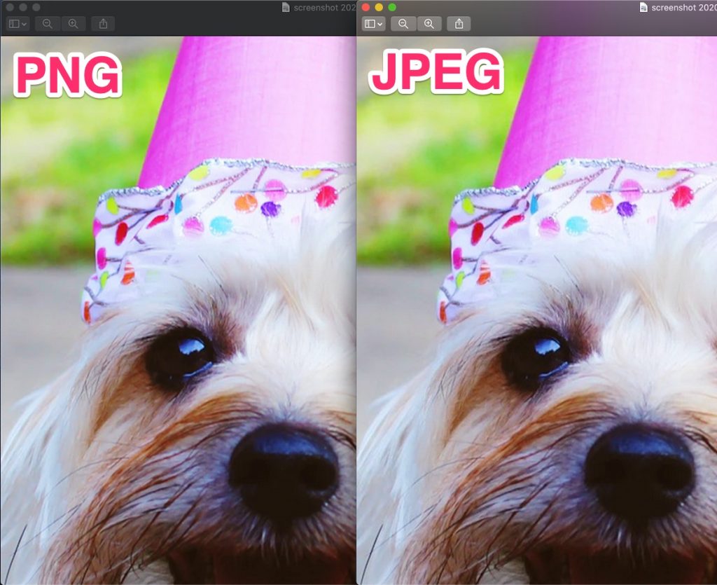 左：PNG、右：JPEG